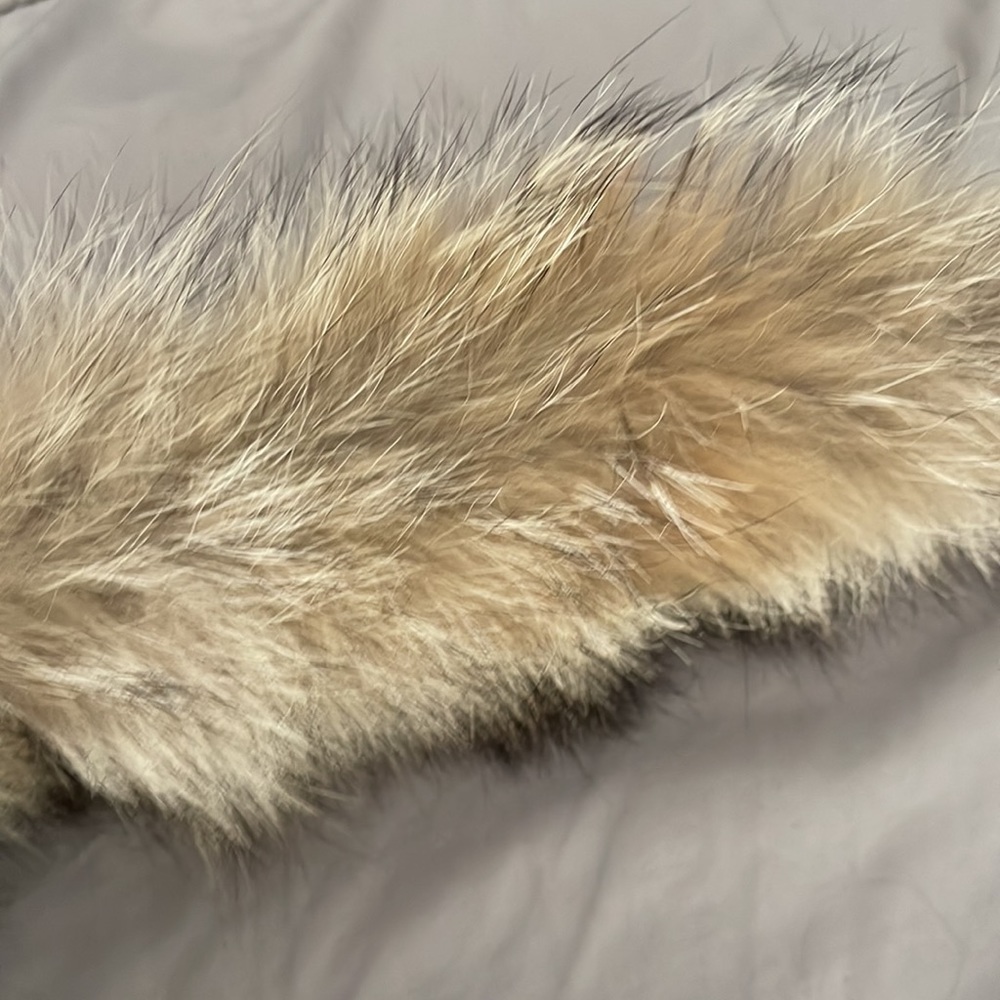 ❤️ Gorgeous Authentic Canada Goose Ruff ♥️ - Picture 4 of 10